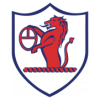 https://img.hhaxs.com/img/football/team/11fb72f7b5eacfc881ee11bac75871fa.png