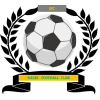 https://img.hhaxs.com/img/football/team/6dc6d59af2f0962597b412473a6708ee.png